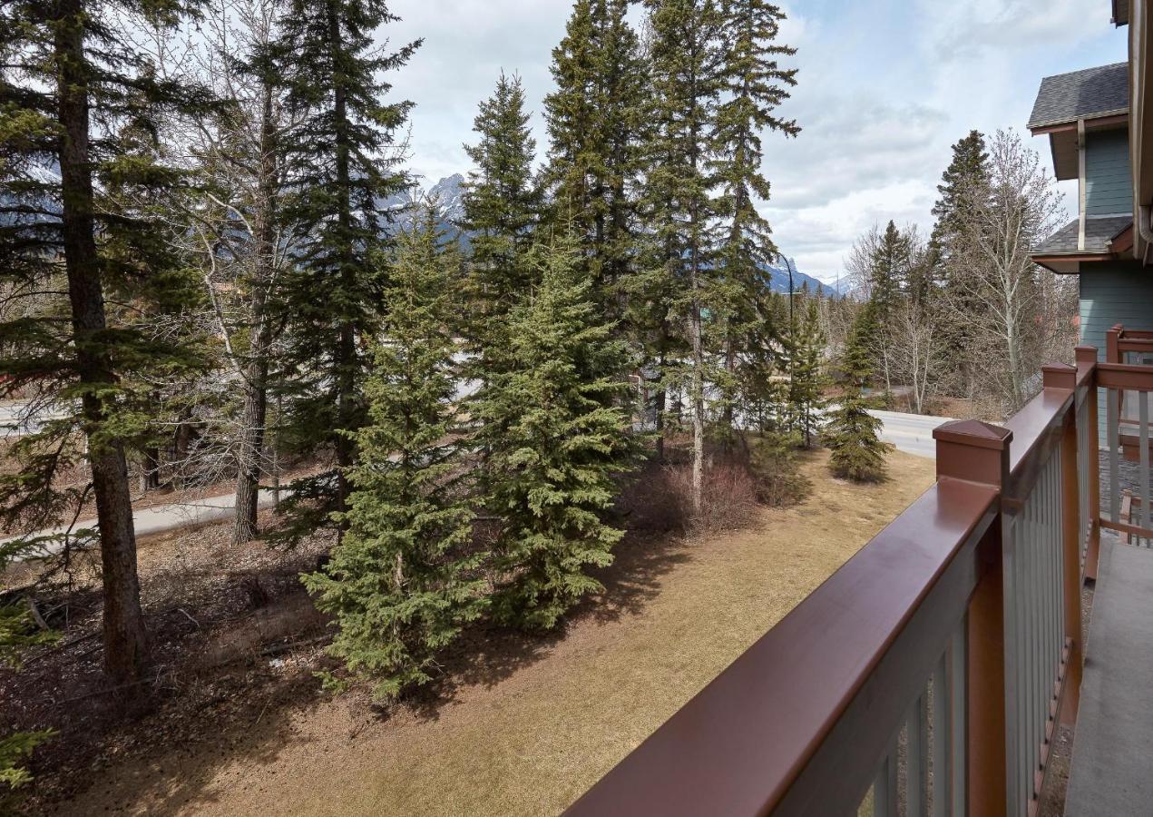 Newly Renovated Grizzly Lodge, Spacious 3Br 2Ba With Open Pool, Hot Tub Canmore Exteriér fotografie