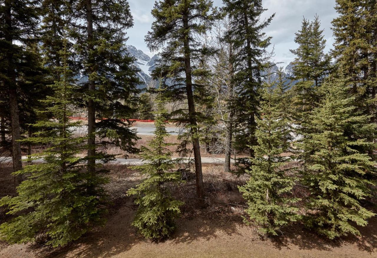 Newly Renovated Grizzly Lodge, Spacious 3Br 2Ba With Open Pool, Hot Tub Canmore Exteriér fotografie
